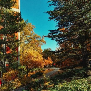 Herbstlandschaft mit einer Straße in der Mitte.